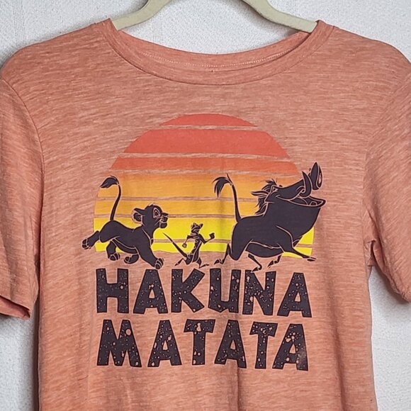 Disney The Lion King Terracotta Hakuna Matata Sunset Serenity Tee Size XL 14-16 - Picture 2 of 16